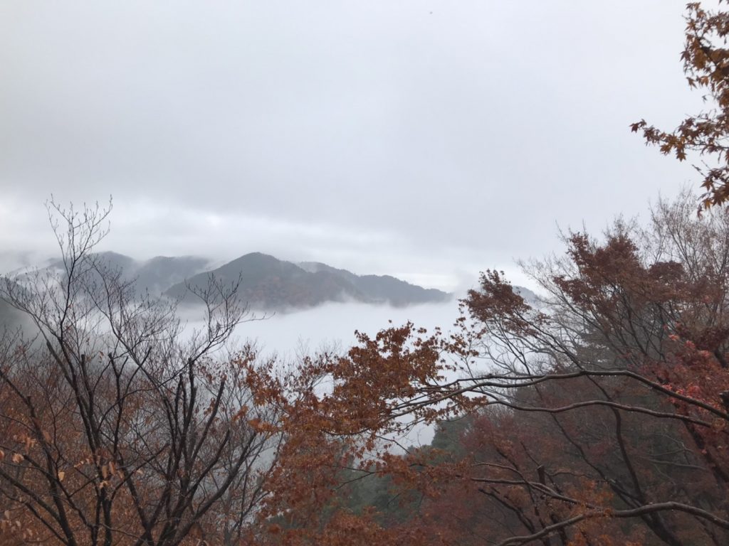 天気 高 尾山 高尾山の今日・明日の天気 週末の天気・紫外線情報【お出かけスポット天気】