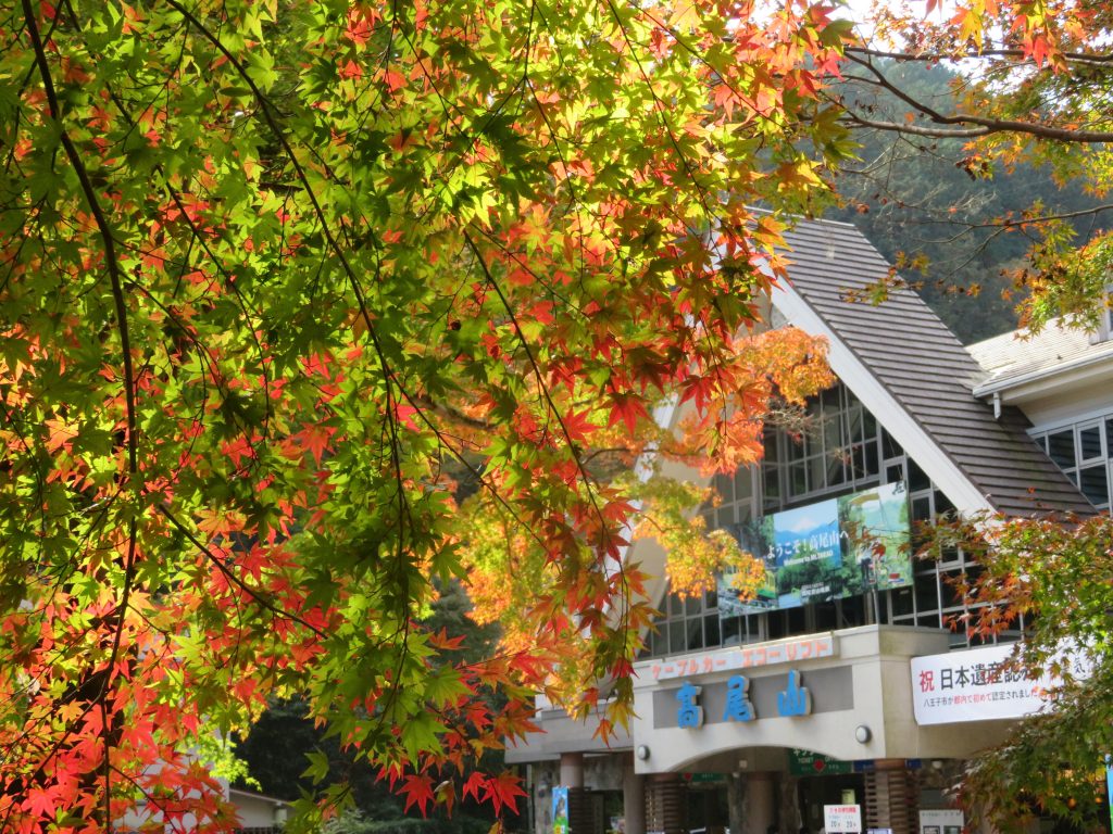 高尾山に紅葉の季節がやってきました 高尾登山電鉄 スタッフブログ