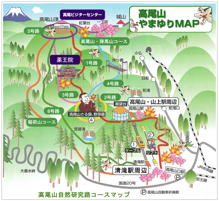 高尾山 高尾山 やまゆりマップ