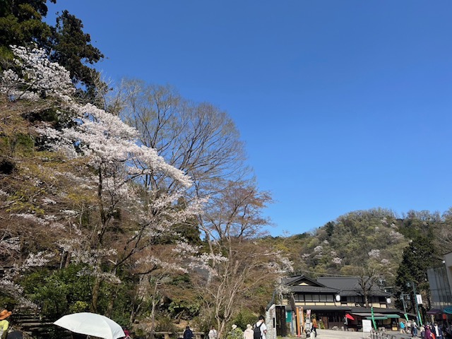 2025年4月9日(水) 清滝広場