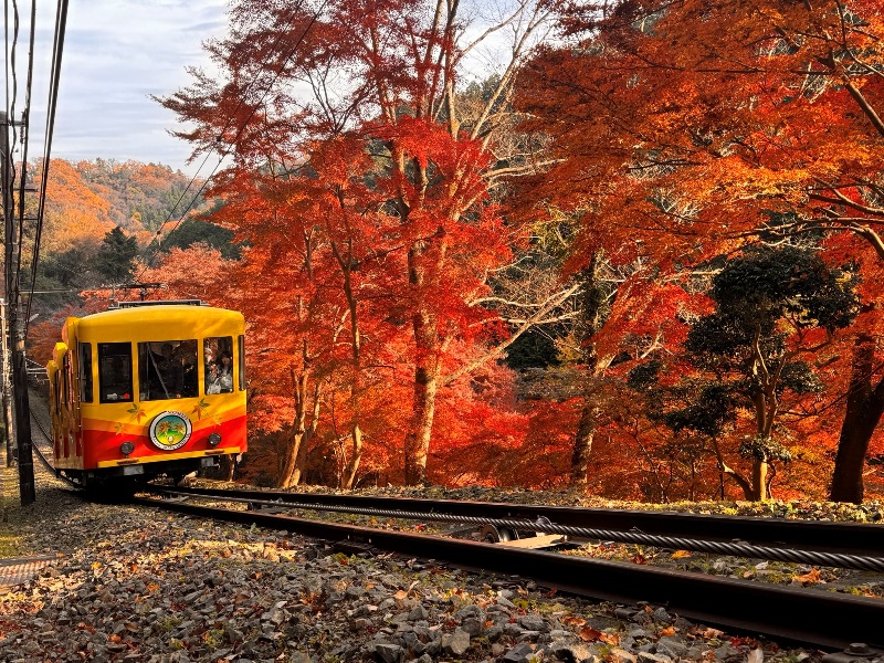 2024/12/5撮影　ケーブルカー沿線