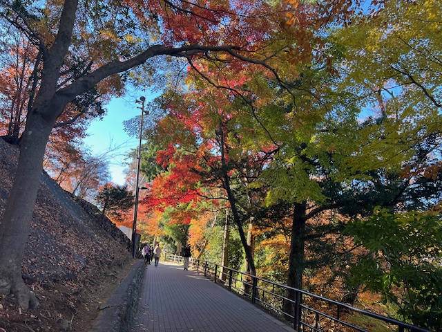 2024/12/3撮影　高尾山駅 駅前広場〜さる園