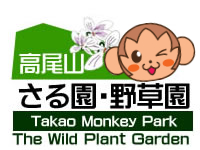 高尾山さる園・野草園 Takao Monkey Park and The Wild Plant Garden