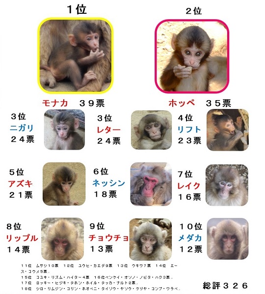 お知らせ（詳細情報） | 高尾山さる園・野草園