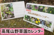 新発売！高尾山野草園オリジナルカレンダー