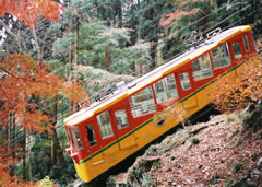 カー ケーブル 高 尾山