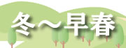 冬〜早春